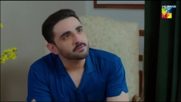 Laadli - Episode 20 - 14th August 2025